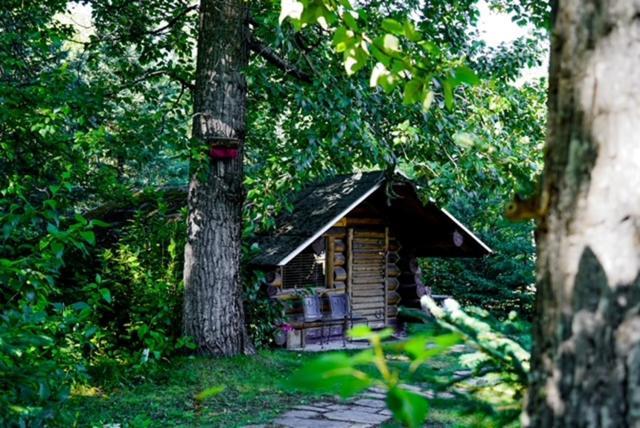 Hope Alaska'S Bear Creek Lodge Exterior foto